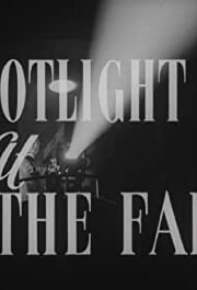 Spotlight at the Fair