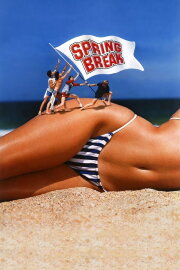 Spring Break Spring Break