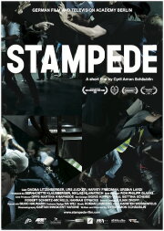 Stampede Stampede