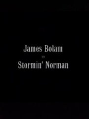 Stormin' Norman Stormin' Norman