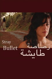 Stray Bullet Stray Bullet