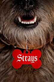 Strays Strays