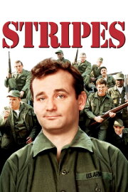 Stripes Stripes