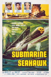 Submarine Seahawk Submarine Seahawk