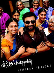 Sundarapandian Sundarapandian