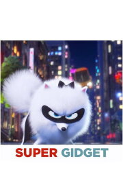Super Gidget Super Gidget