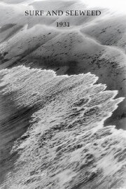 Surf and Seaweed