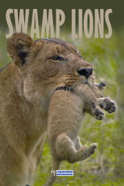 Swamp Lions