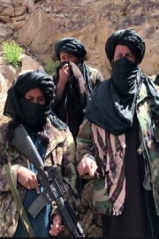 Talibanerna inifrån Talibanerna inifrån