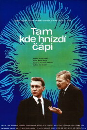 Tam kde hnízdí čápi Tam kde hnízdí čápi