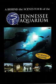 Tennessee Aquarium Tennessee Aquarium