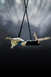 The Aerialist