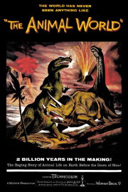 The Animal World