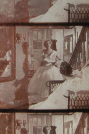The Ballet’s Prima-donna