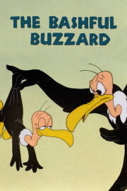 The Bashful Buzzard The Bashful Buzzard