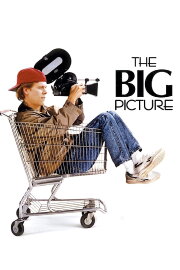 The Big Picture The Big Picture