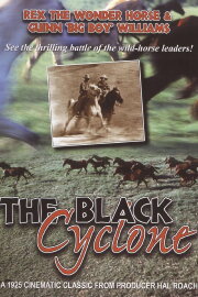 The Black Cyclone The Black Cyclone