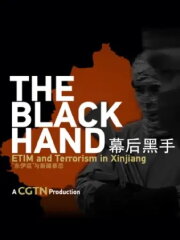 The black hand — ETIM and terrorism in Xinjiang