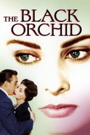 The Black Orchid The Black Orchid