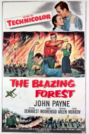 The Blazing Forest The Blazing Forest