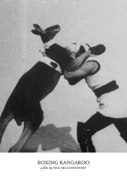The Boxing Kangaroo