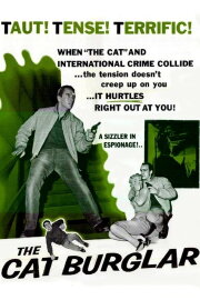 The Cat Burglar The Cat Burglar