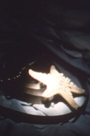 The Crown of Dreams