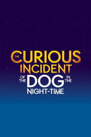 The Curious Incident of the Dog in the Night-Time