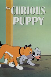 The Curious Puppy The Curious Puppy