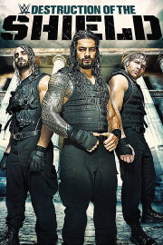 The Destruction of The Shield The Destruction of The Shield