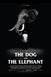 The Dog and the Elephant