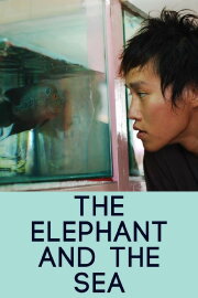 The Elephant and the Sea