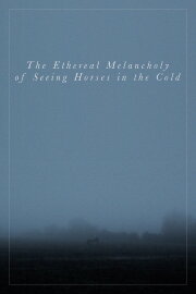 The Ethereal Melancholy of Seeing Horses in the Cold