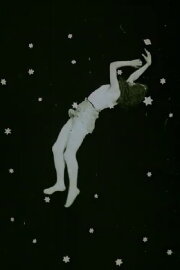 The Fairy of the Stars The Fairy of the Stars