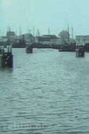 The Fishing Port of Scheveningen The Fishing Port of Scheveningen