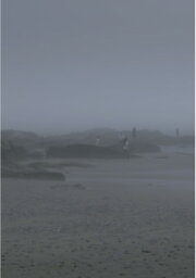 The Fog Has Covered The Moment Again