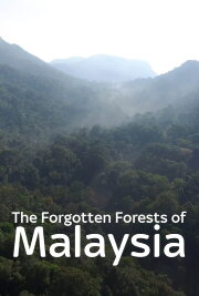 The Forgotten Forests of Malaysia The Forgotten Forests of Malaysia