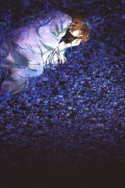 The Garden of Sinners: Remix -Gate of seventh heaven-