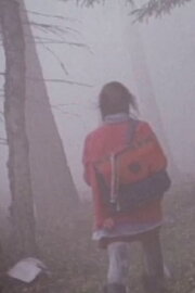 The Girl in the Mist The Girl in the Mist