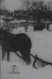 The Great Blizzard in the Baltics in December The Great Blizzard in the Baltics in December