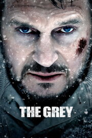 The Grey The Grey