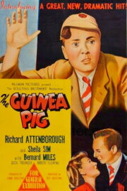 The Guinea Pig The Guinea Pig