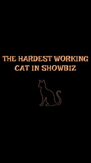 The Hardest Working Cat in Showbiz