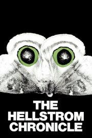 The Hellstrom Chronicle The Hellstrom Chronicle
