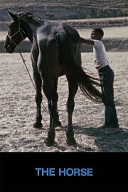 The Horse The Horse