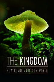 The Kingdom: How Fungi Made Our World The Kingdom: How Fungi Made Our World