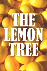 The Lemon Tree The Lemon Tree