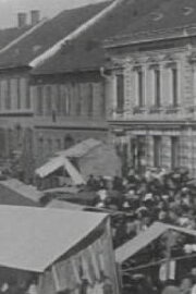 The Ljutomer Fair The Ljutomer Fair