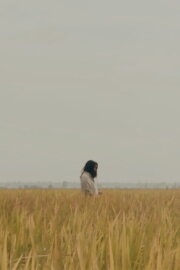 The Lost Piece