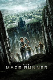 The Maze Runner
